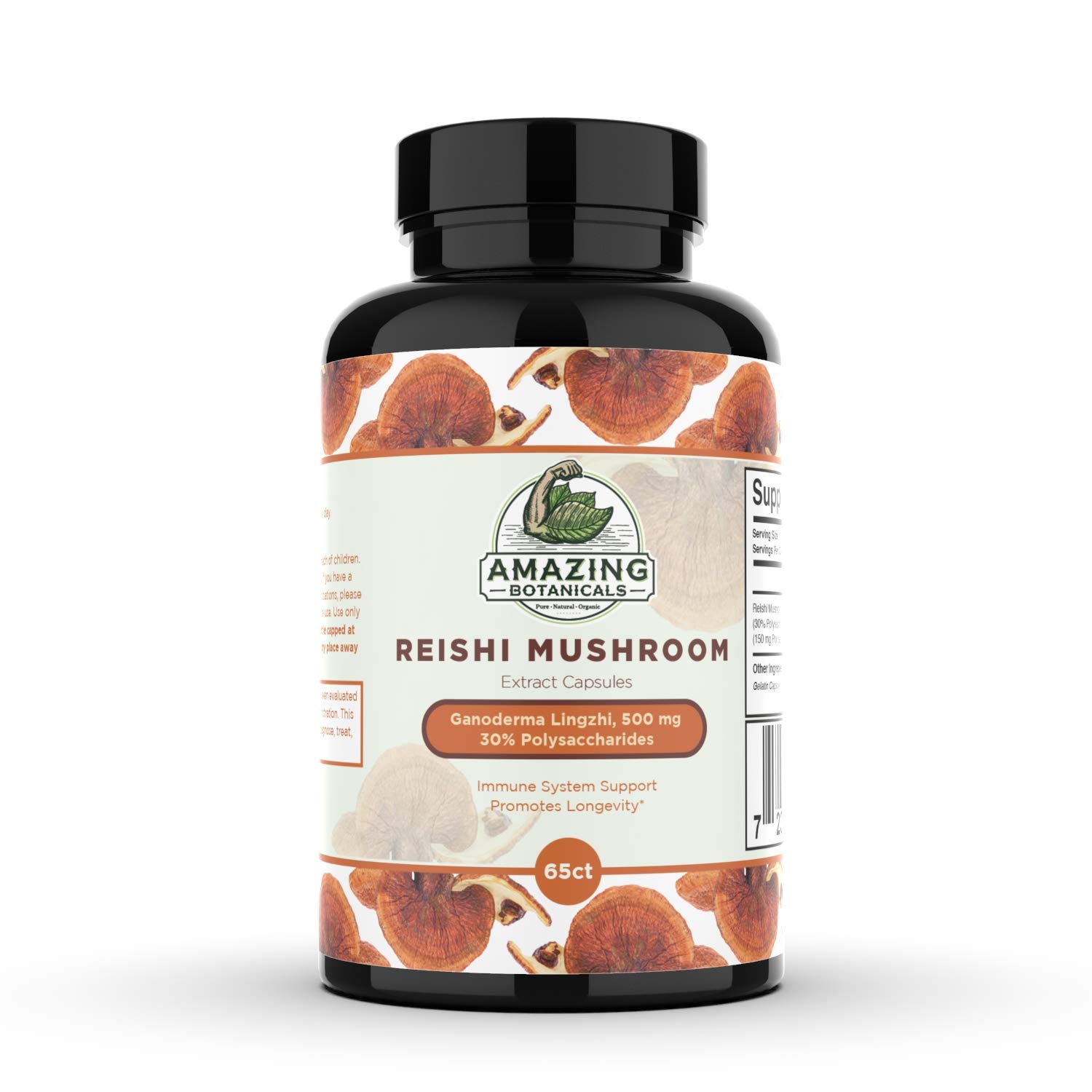 reishi mushroom extract side effects